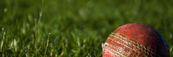 NBA各队主教练战术板