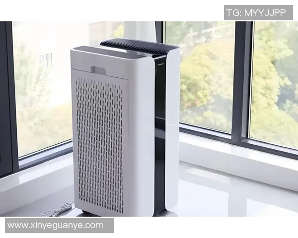 打造清新室内环境 选择合适空气净化器提升家居空气质量